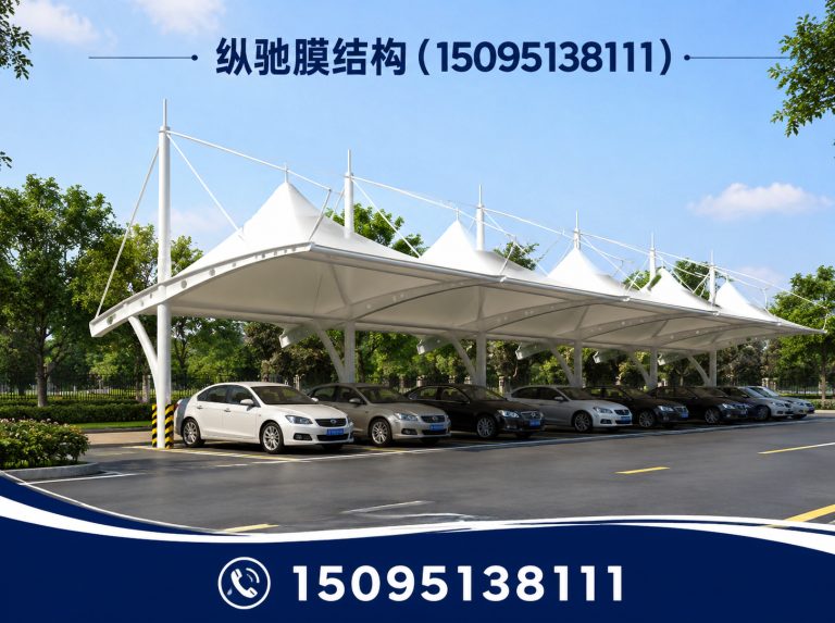 青州市膜结构看台展示图
